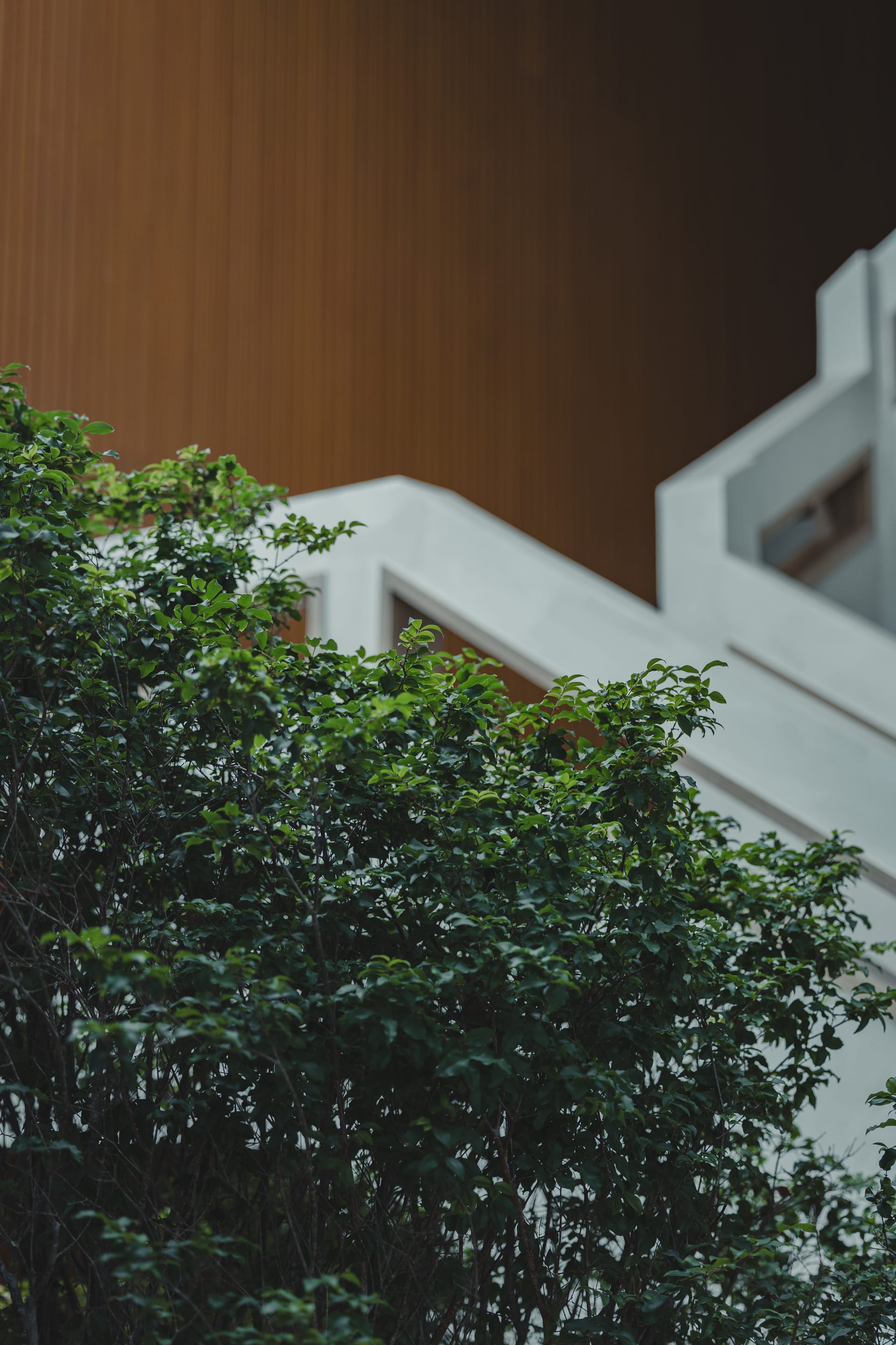 Casa 23 - Foto 13 do projeto